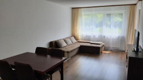 Ferienwohnung Seeblick mit Balkon - Mein Schwarzwaldhäusle
